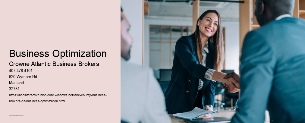Business Optimization