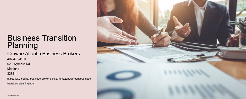 Business Transition Planning