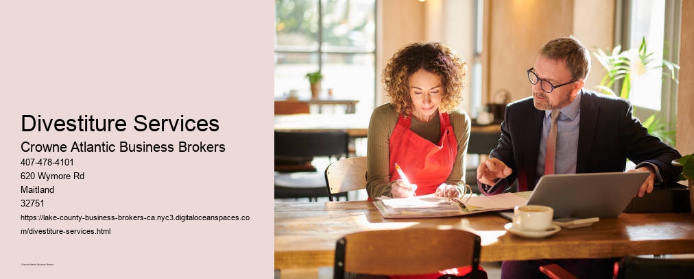 Divestiture Services